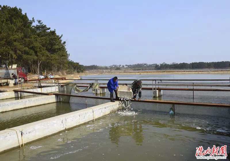 抹杀氮循环的喉咙，让亚硝酸盐不复存在