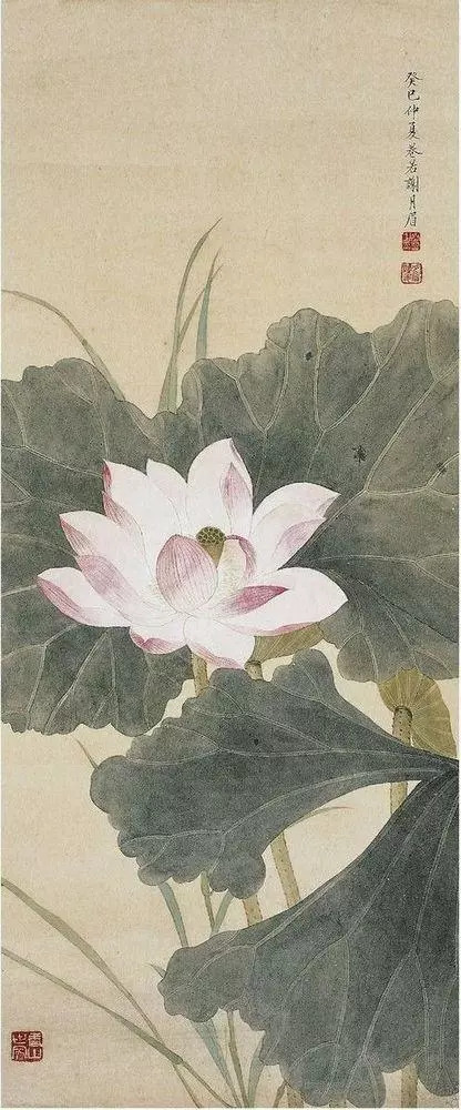 民国花鸟圣手大全,她凭自学成名堪称民国花鸟圣手