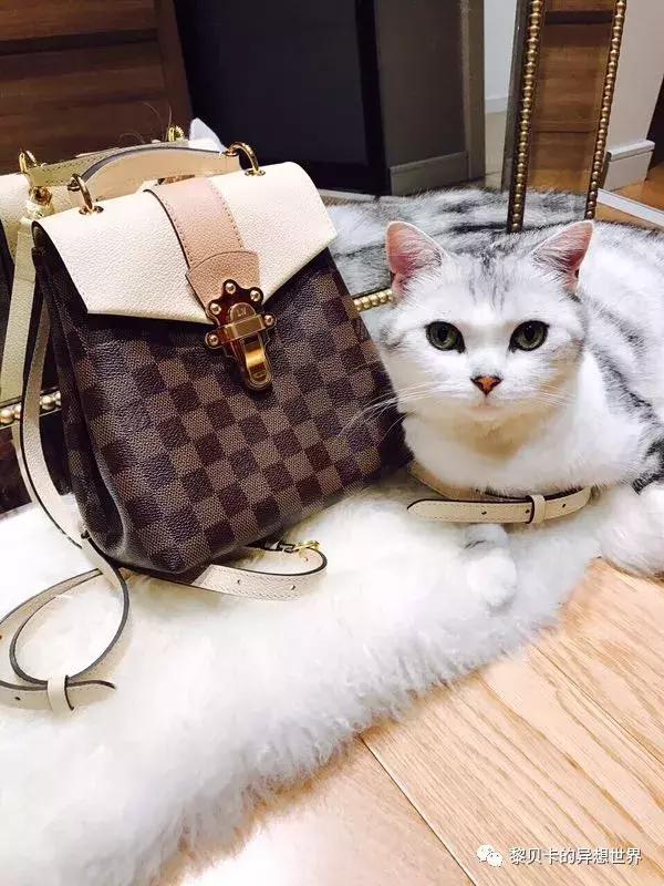 如果你的一生只能买一款包,如果这一辈子只买一个包