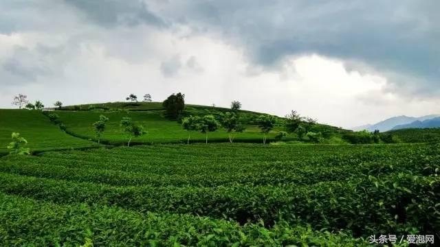 广西上林美景,上林的风景最美