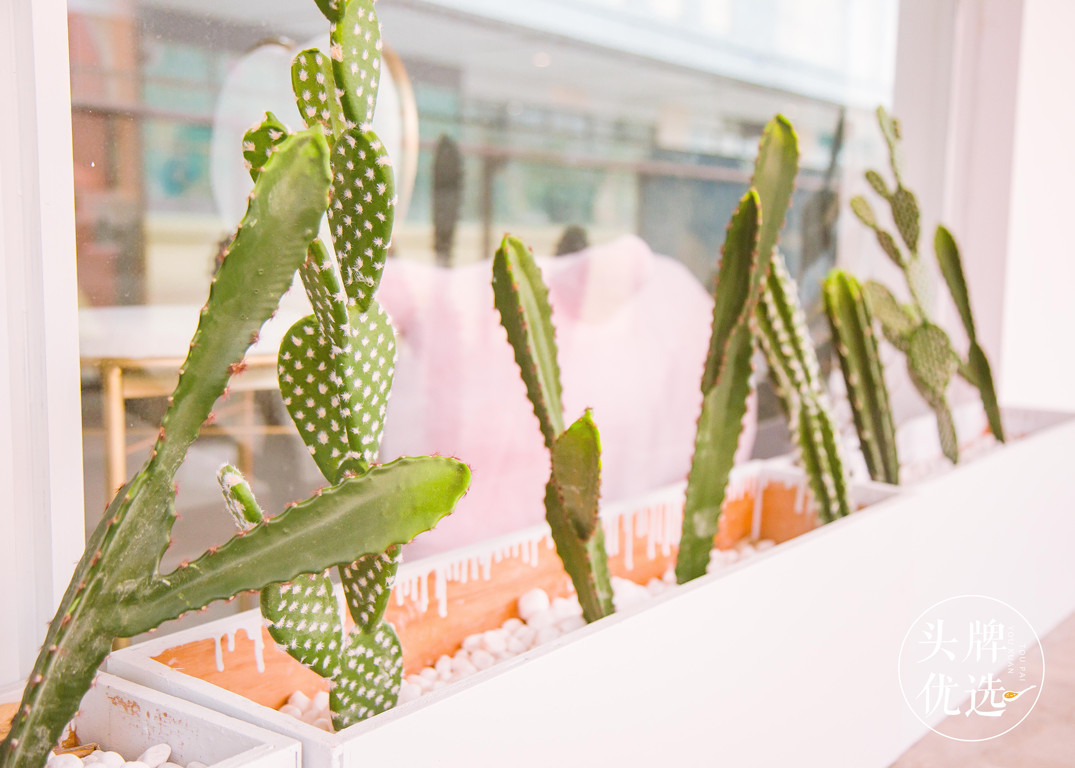 绂忓窞鐖辩惔娴锋寚鐢插簵,绂忓窞浠撳北鐖辩惔娴风編瀹瑰摢閲屽ソ