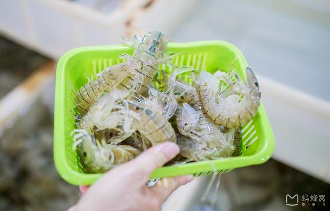 明珠购物广场三亚免税店购物攻略,去三亚旅游怎么吃海鲜便宜实惠
