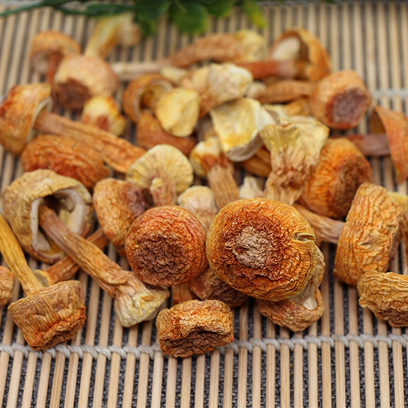 食代滋味带你了解-神秘的姬松茸