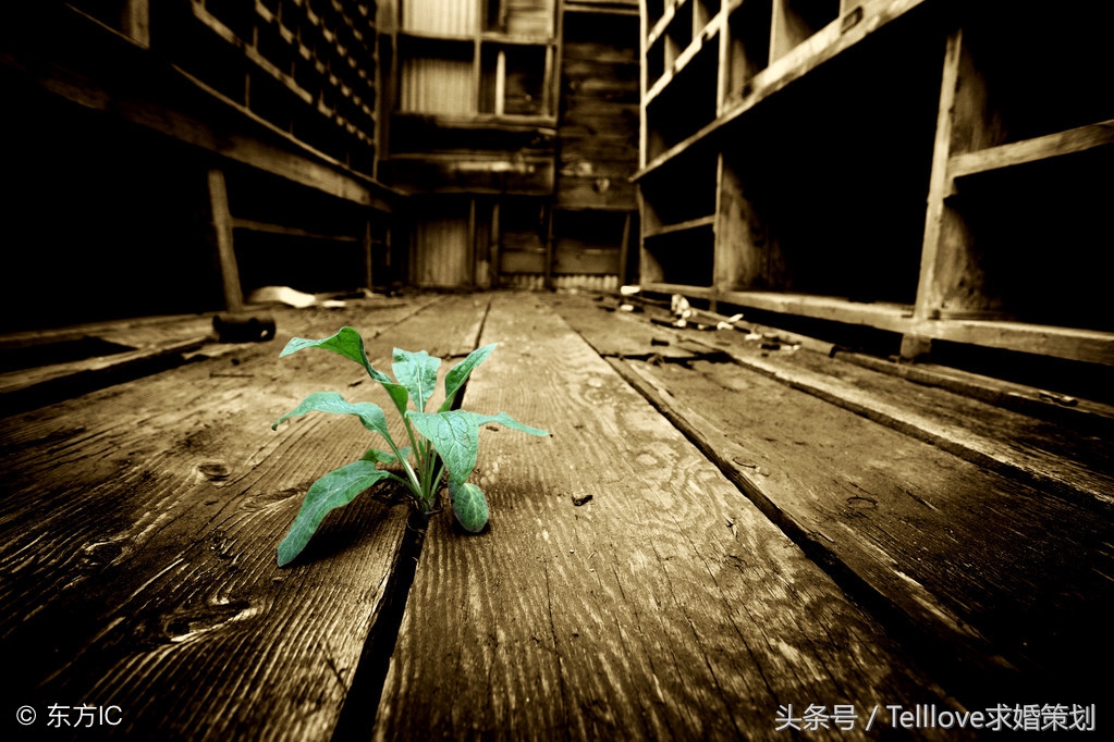 心理学对处理情侣冷战的建议,对付情侣冷战最好的方法