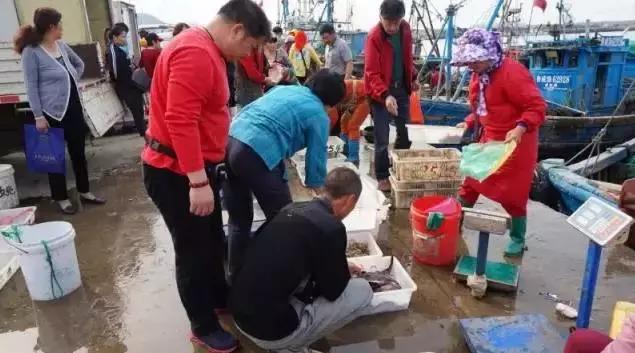 开海了有什么海鲜推荐买的,开海了海鲜去哪里买