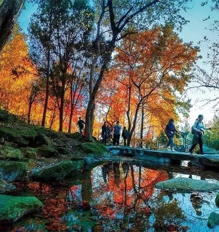 一个月让你免费走遍台州！这份9月台州旅行指南你一定需要收藏！