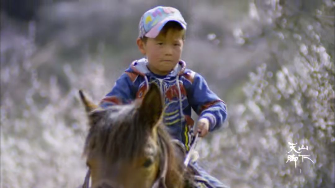 忘记那些不堪回首的人和事,忘记那些心酸的往事
