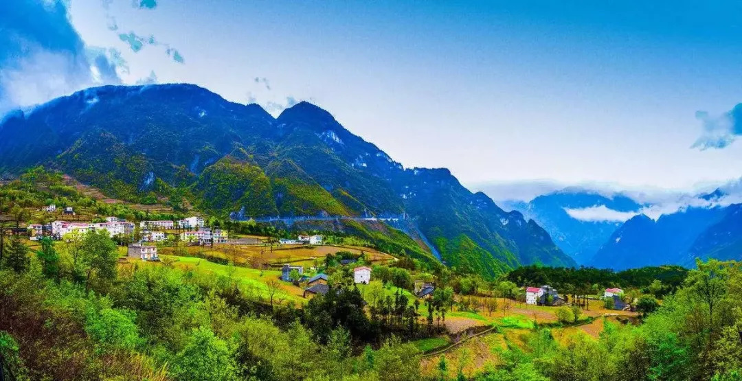 风物特产推介,湖北罗田大红袍板栗