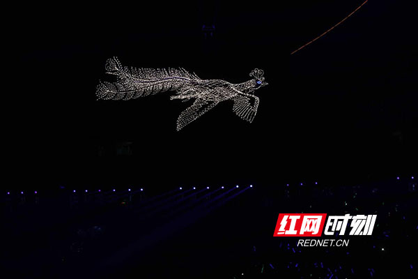 很精彩的视觉盛宴,一场精彩视觉盛宴