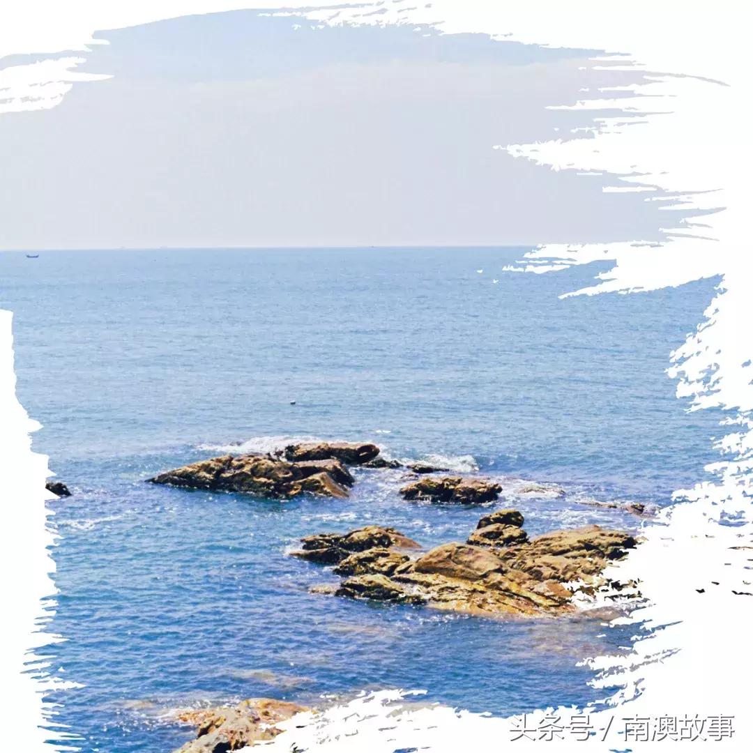 好物分享紫色,好物推荐颜色全