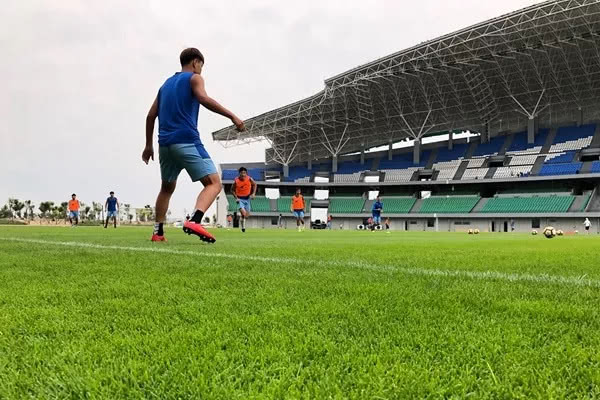 足球场是天然草还是人工草好,足球场天然草用什么草种