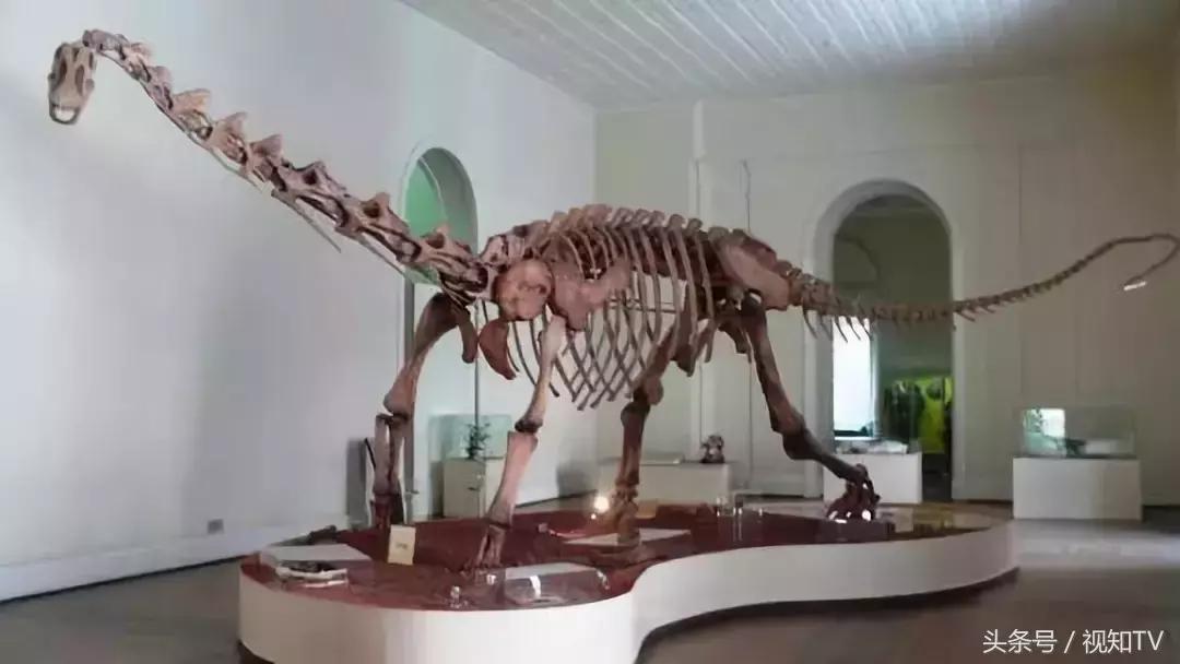 巴西国家博物馆火灾原因有哪些,巴西博物馆遭大火镇馆之宝