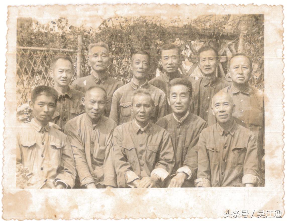 我的小学在线免费观看,我的小学在线播放