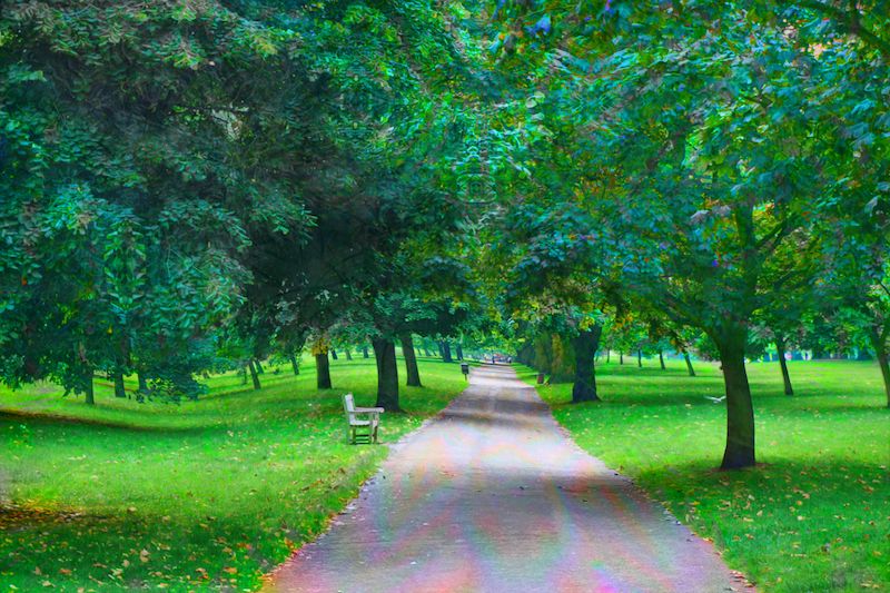 产生幻觉的图,产生的幻觉是什么