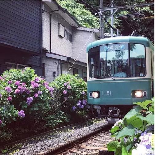 日本东京必逛中古店,东京哪里中古包性价比最高