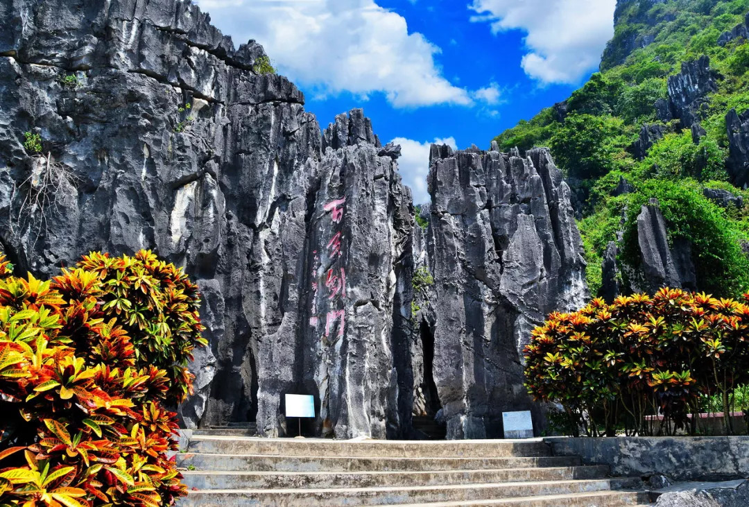 上海飞九月的机票是多少钱,9月29号上海到日本飞机票价格