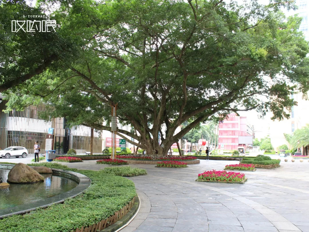 鍗楀畞闈掔骞胯タ鑹烘湳瀛﹂櫌,骞胯タ鑹烘湳瀛﹂櫌闈掔