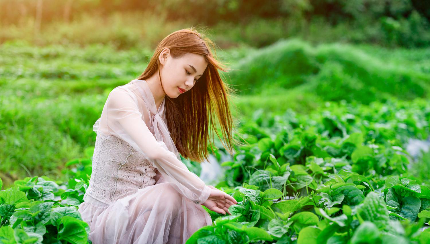 深圳碧桂园新项目,碧桂园田园里东区