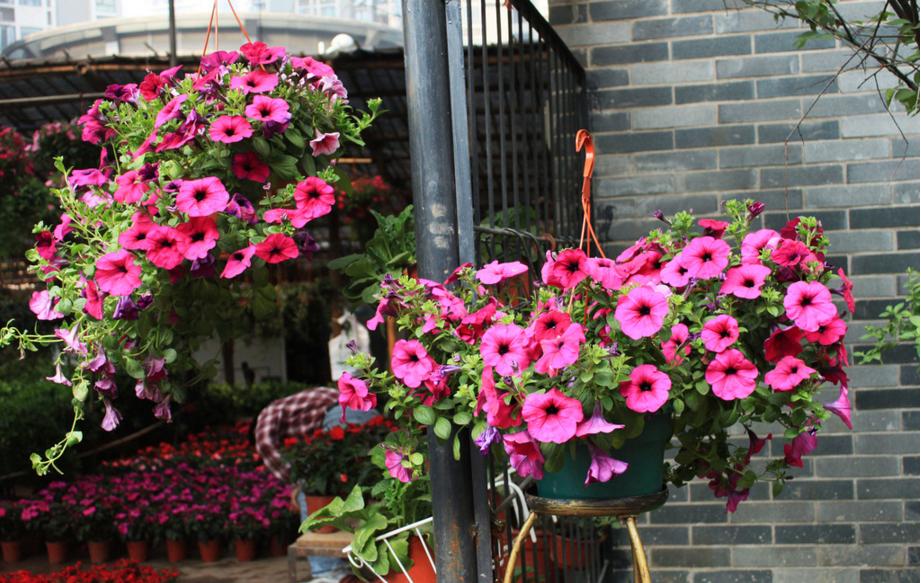 福州马尾区道路景观提升，打造秀美闽江生态之城