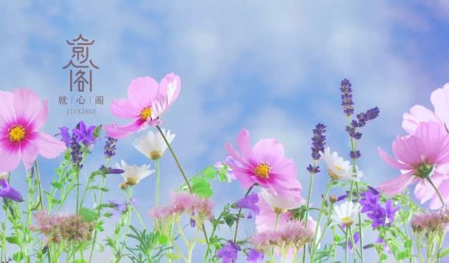 不孕不育试管两次都失败,4个优势卵泡试管成功率