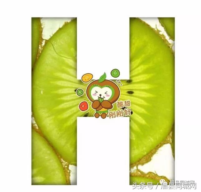 眉县猕猴桃真实故事,眉县猕猴桃最近几天能有吗