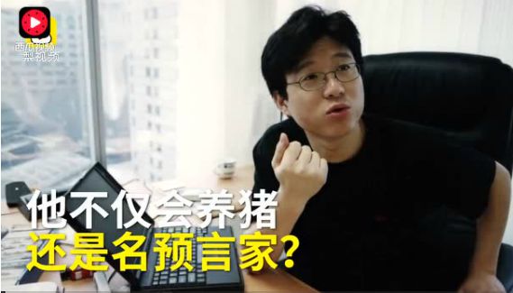 丁磊为什么是养猪大佬,丁磊的养猪模式