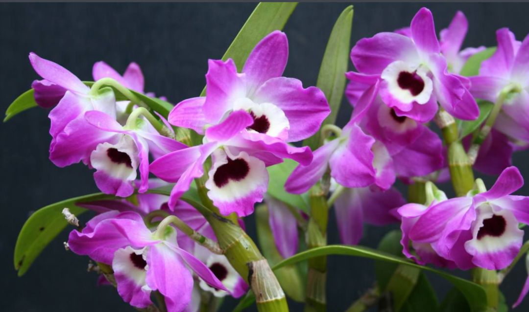 雅姿深层保湿面膜多少钱一瓶,雅姿七分钟面膜