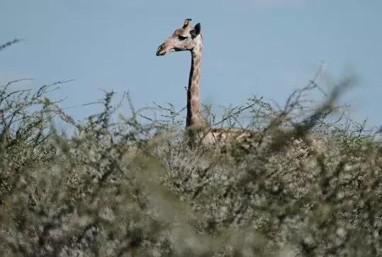 五分钟认识英国,五分钟认识奔驰
