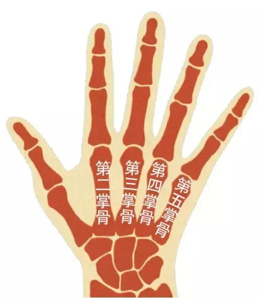 新舞林大会任嘉伦popping,新舞林大会任嘉伦眼罩