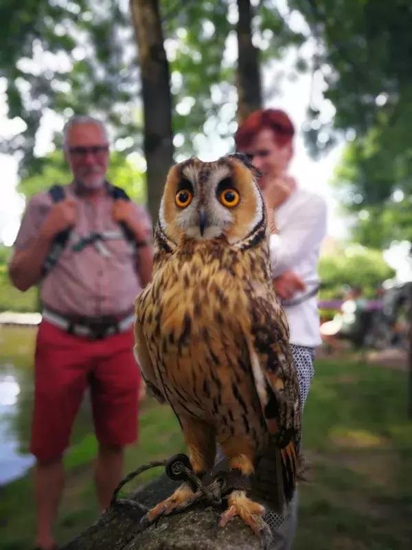 荷兰自由行旅游攻略大全,荷兰自由行三日游攻略