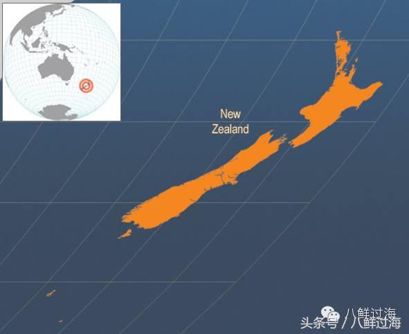 新西兰海边青口贝,新西兰赶海吃青口贝