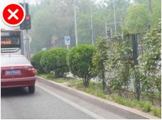 「交通看点」建设“完整林荫道”——步行和自行车交通环境设计建设图集亮点介绍（一）