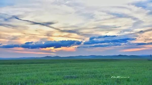 锡林郭勒羊肉多少钱一斤,锡林郭勒羊肉logo