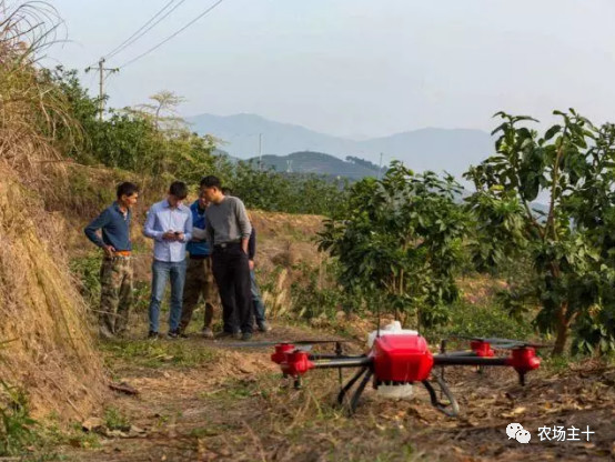 抖音、直播、黑科技，90后“新农人”这样玩转果园！