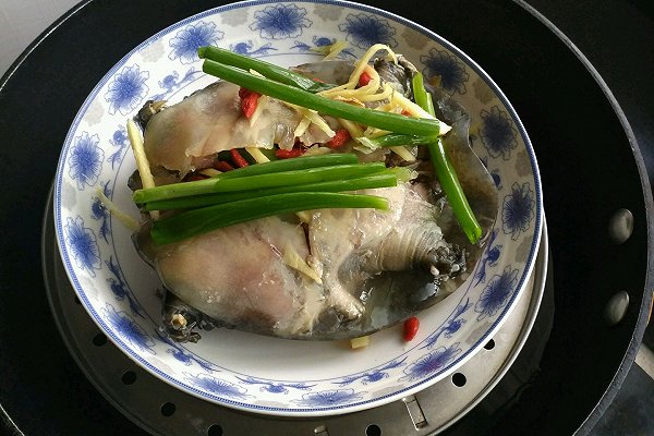 甲鱼最常见的几种做法,冬季甲鱼跟什么做才好