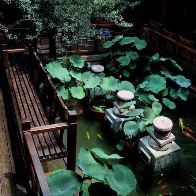 杨绛谈人生处世的书,杨绛人生曼妙的风景适合男生读吗