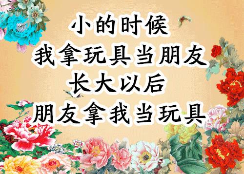 会动的照片大全,会动的11张图片