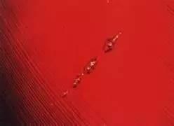 如何鉴别泰国红宝石青柚苗真假,怎么辨别红宝石的真假