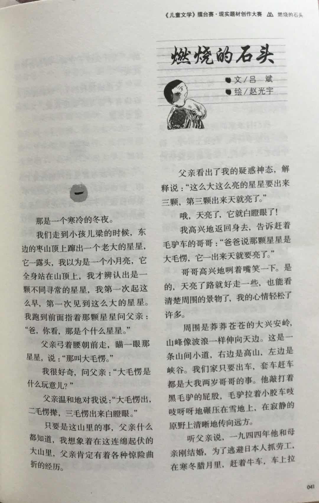 燃烧的石头全部小说,燃烧石头的小说