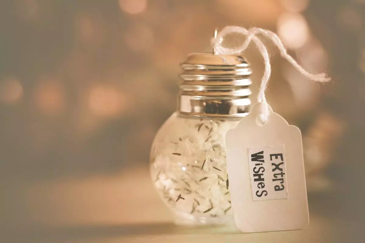 你会订阅每月一支香水吗？｜每日新物种8·5特辑