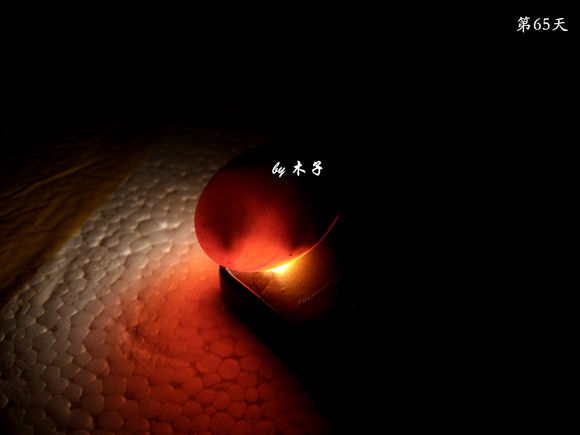 草龟繁殖经验分享孵蛋40天破壳,草龟养殖日记从幼苗开始