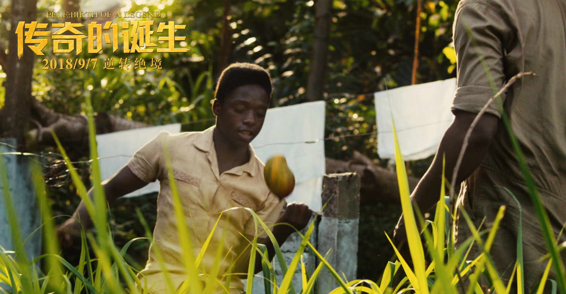 传奇的诞生励志台词,传奇的诞生背后是什么