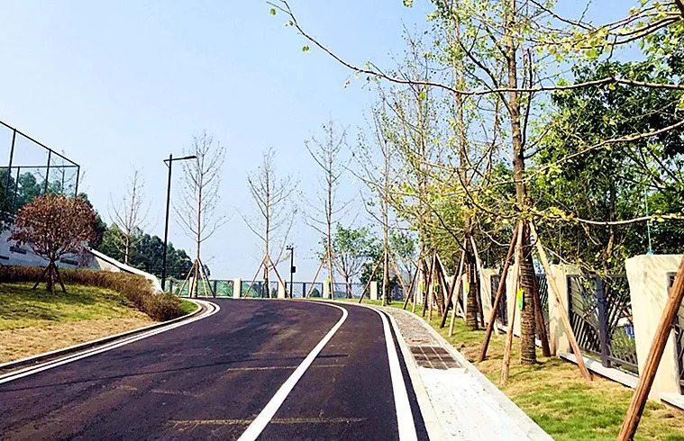 多图！电子科大宜宾研究院开学啦，上千名新生……