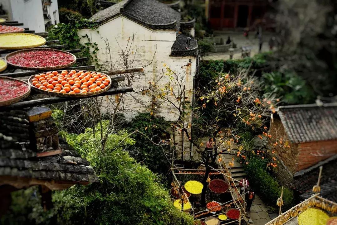 生活很苦不如出来走走,生活很苦想出去走走