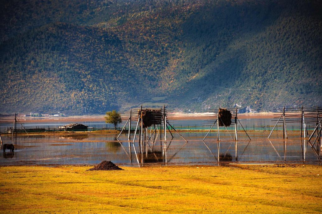 这些绝美小黄片,已经陆续在全国上线,找个时间去扫黄吧