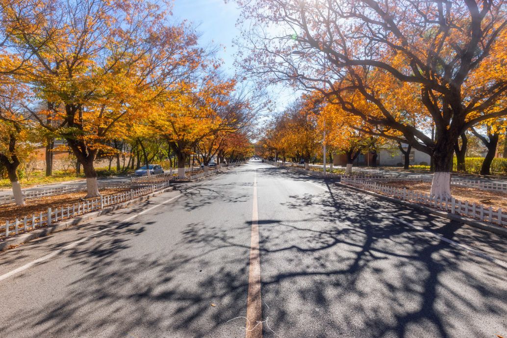 这些绝美小黄片,已经陆续在全国上线,找个时间去扫黄吧