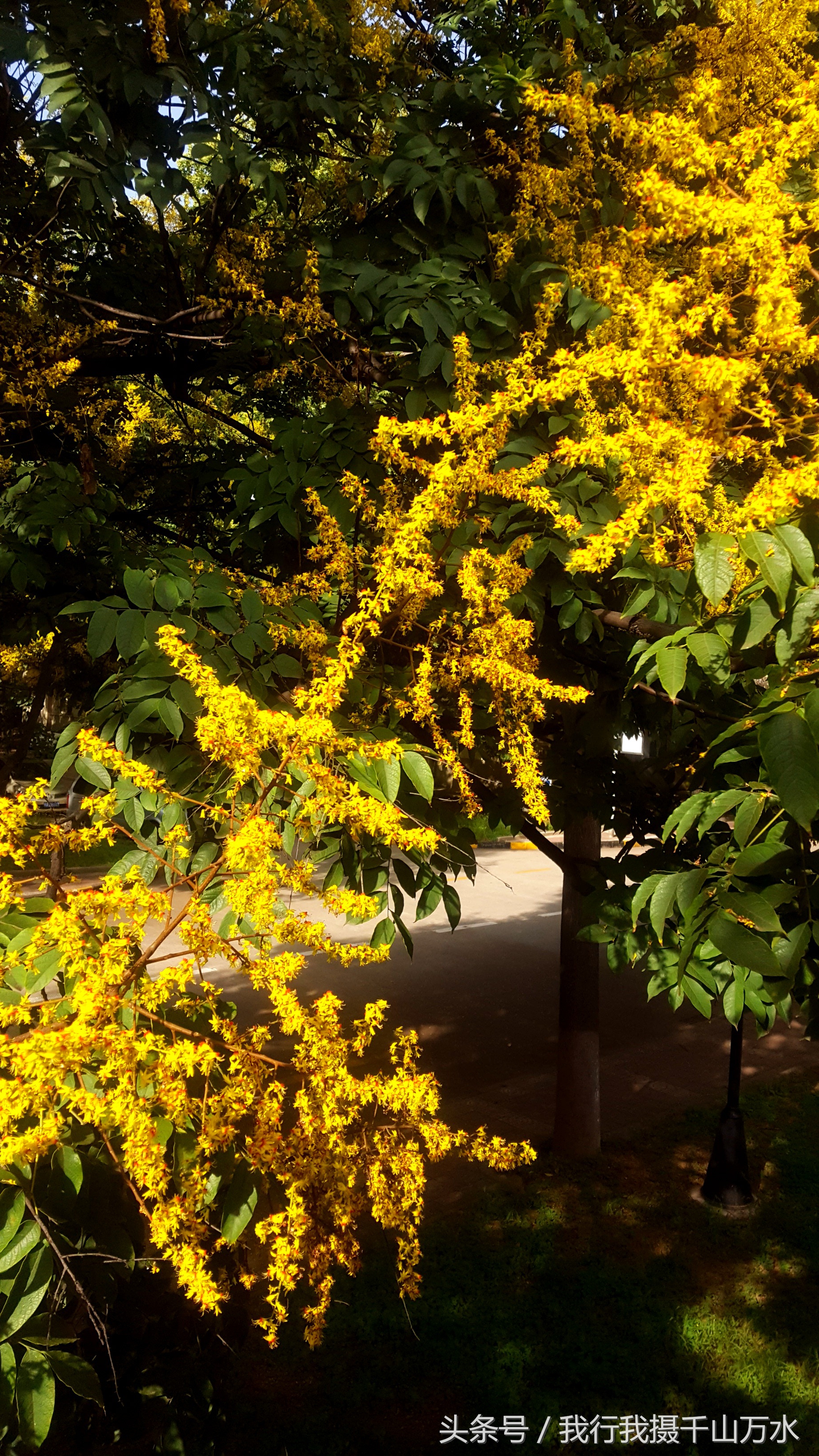 民间健身及尽享足球之乐的好场所——西安西光厂体育场