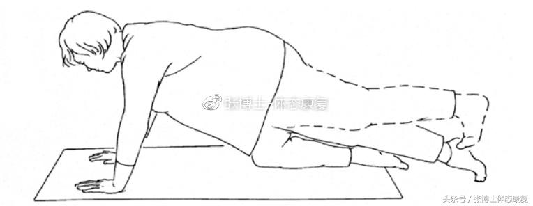 最全产后恢复体育动作,产后修复的健身动作