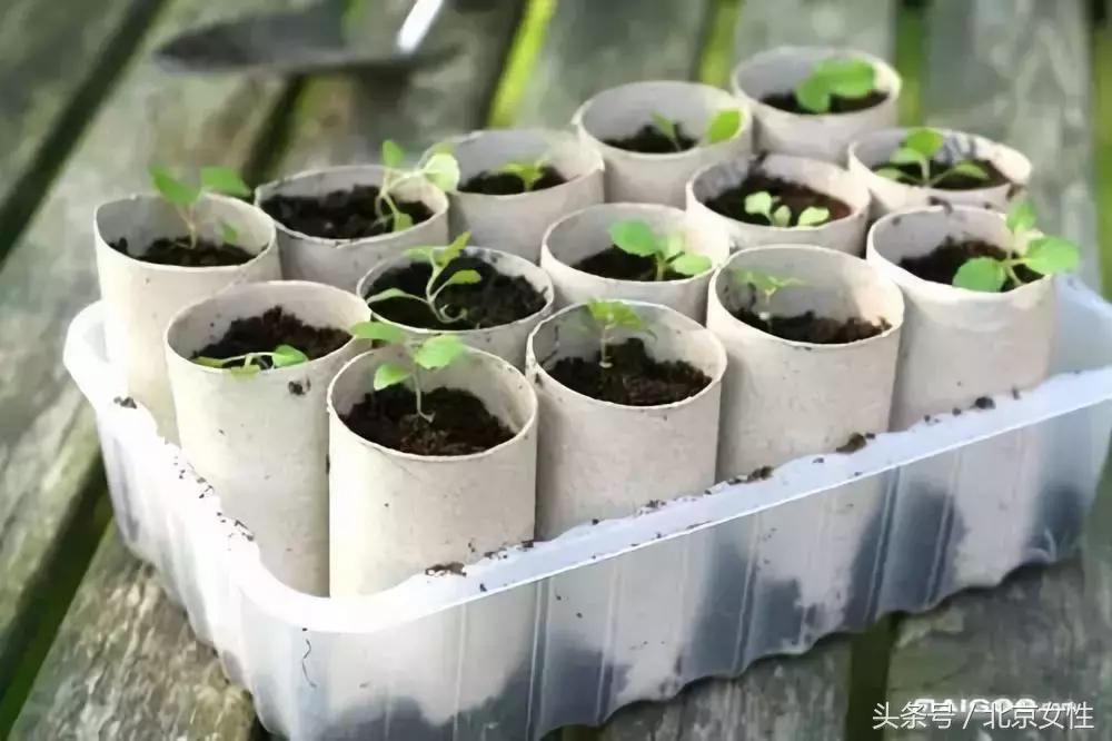 乐活赚钱快吗,乐活赚钱安全吗