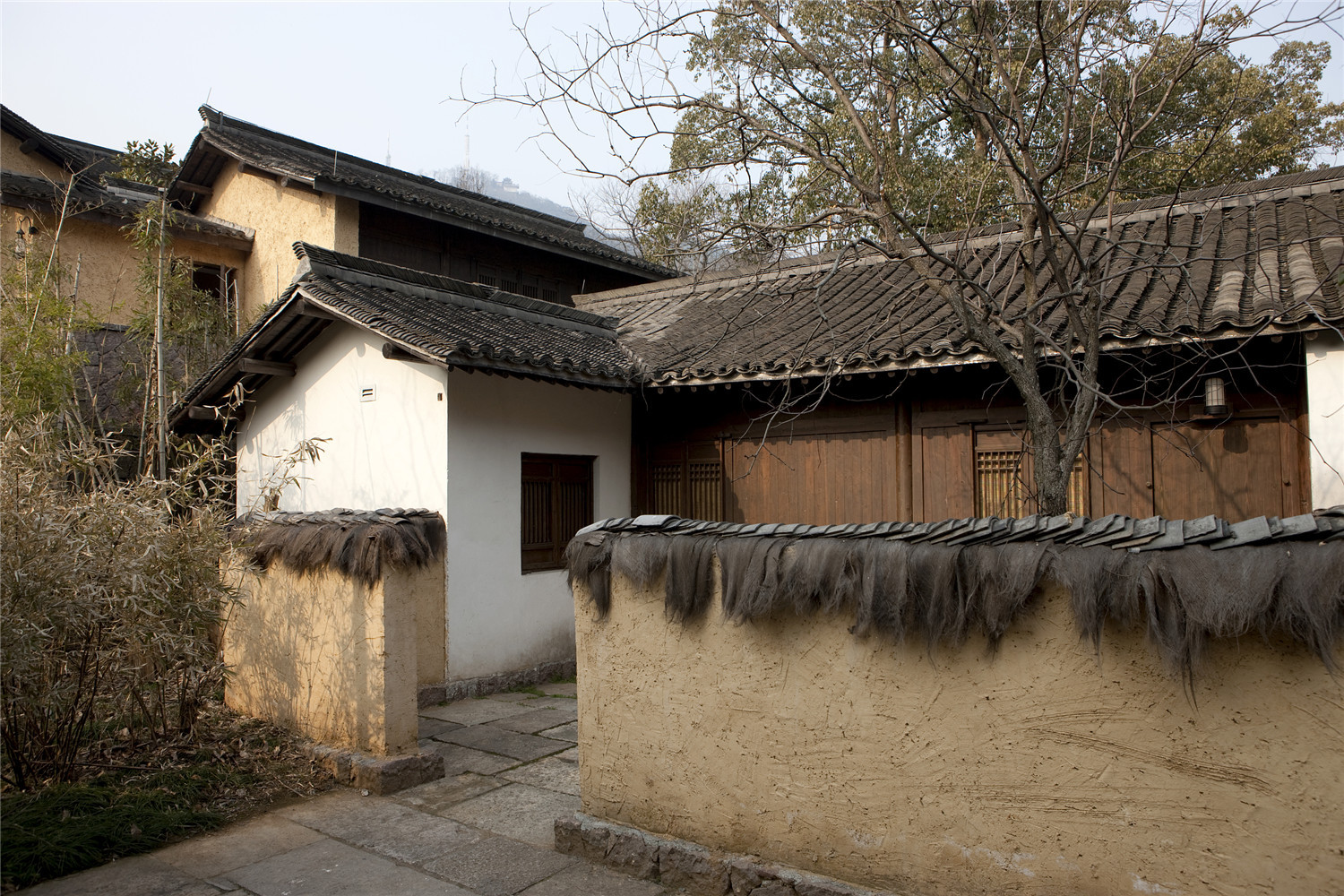 杭州西湖领略西湖之美,杭州西湖美景打卡